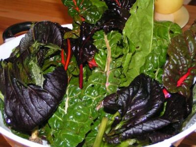 Swiss Chard: The New Kale? Image